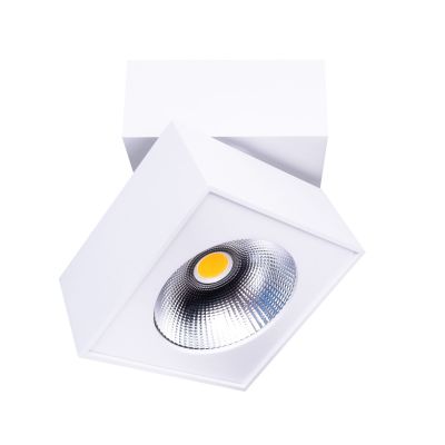 Потолочный светильник ARTU White (118865554)