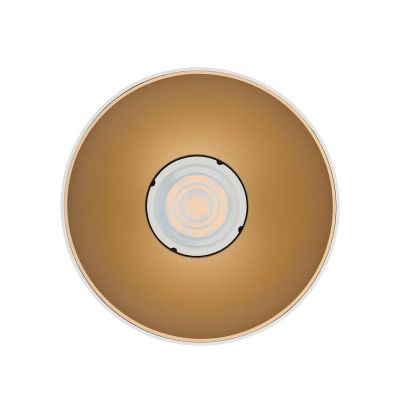 Точечный светильник Point tone Белый, Золотой (109731818) с доставкой