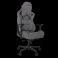 Кресло геймерское Arc S Черный, Серый (78449443) в интернет-магазине