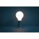 Настольная лампа Aplo Lamp H24 Red Ochre (112734890) фото