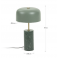 Настольная лампа BISCANE Зеленый (90733613) цена