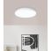 Потолочный светильник CRESPILLO D24 Белый (110738327) с доставкой