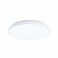Потолочный светильник CRESPILLO D24 Белый (110738327) дешево