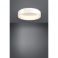 Потолочный светильник MARGHERA 1 D60 Белый (110735814) с доставкой