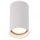 Стельовий світильник PET ROUND NEW White (118865435) дешево