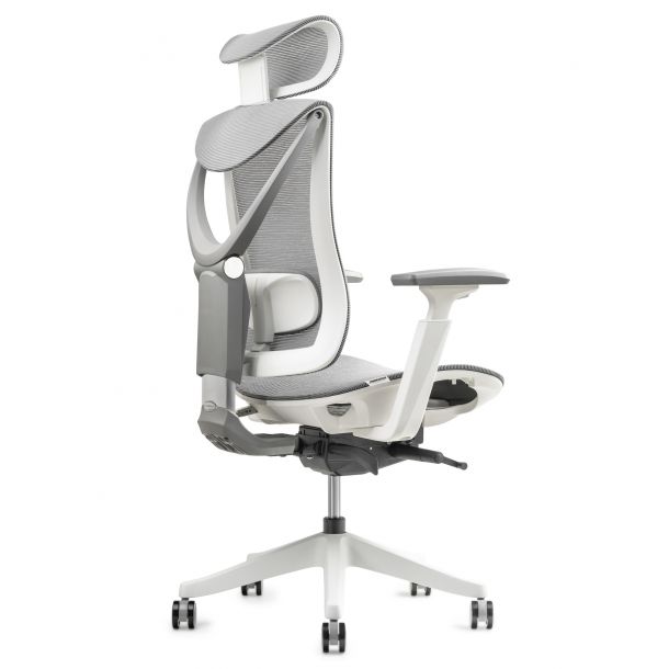 Кресло ADAPWORK S1 Mesh Senior ErgoChair Серый, Белый (106857079) в интернет-магазине