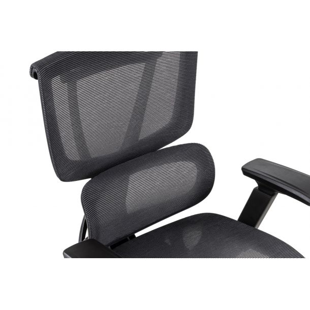 Кресло ADAPWORK S2 Mesh Senior ErgoChair Черный, Черный (1061205568) с доставкой