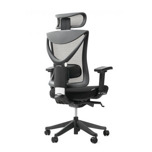 Кресло ADAPWORK S1 Senior ErgoChair Черный, Черный (106850124) в интернет-магазине