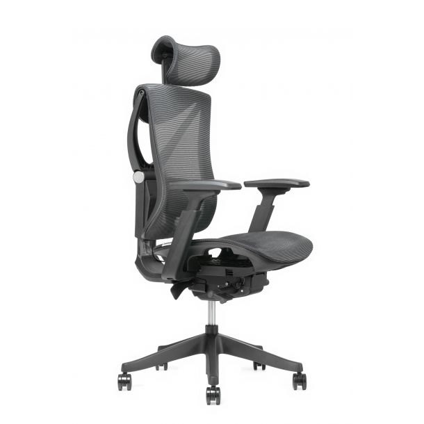 Кресло ADAPWORK S1 Mesh Senior ErgoChair Черный, Черный (106850181) в интернет-магазине
