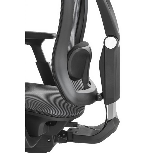 Кресло ADAPWORK S1 Mesh Senior ErgoChair Черный, Черный (106850181) дешево