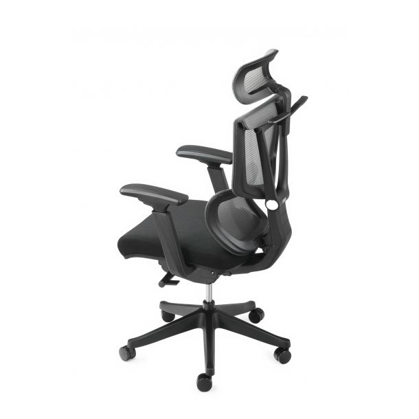 Кресло ADAPWORK S2 Senior ErgoChair Черный, Черный (106850138) в интернет-магазине